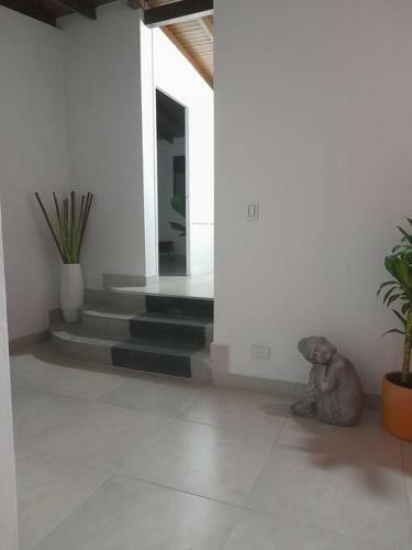 Apartamento Tribu Medellin House