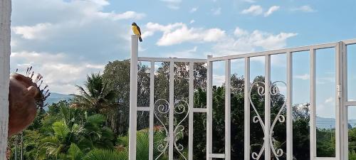 Apartamento Campestre En Condominio
