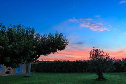 Bed & Breakfast Mas Saint Julien