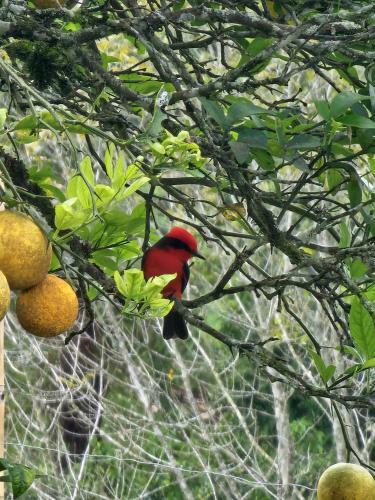 Agroturismo Acogedor Alojamiento Rural