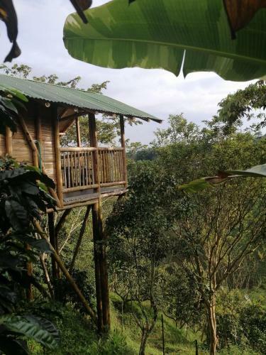 Alojamiento Rural Finca La Bendici�n