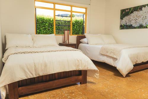 Hotel The Coffee Club Campestre