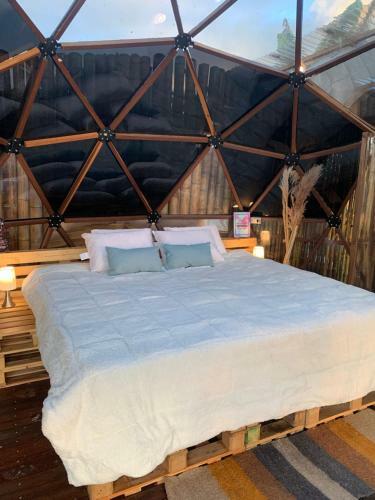 Happy Glamping Quindio - Tipo Domo Trasl�cido