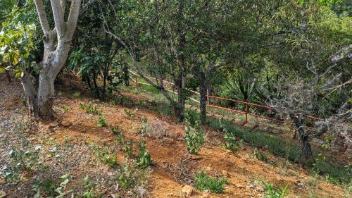 Apartamento El Cocuy