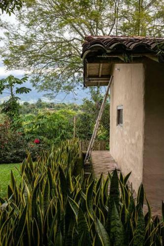 Finca La Colina