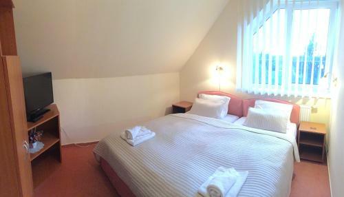 Hostal Penzion Euroclub Praha