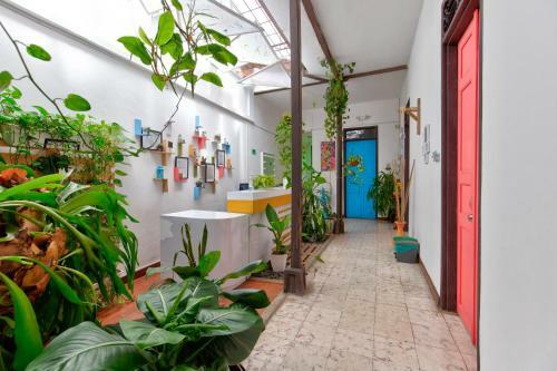 Casa Blanca San Antonio Hostal Boutique