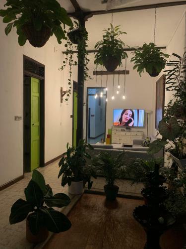 Casa Blanca San Antonio Hostal Boutique
