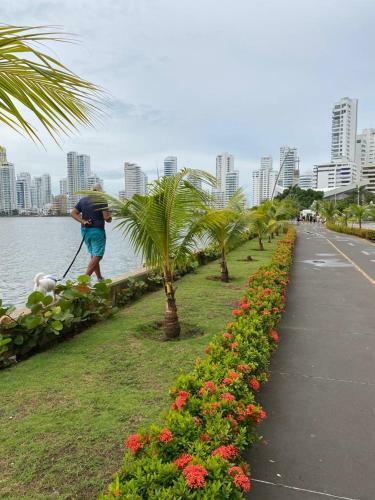 Lujoso Apartamento En Bocagrande