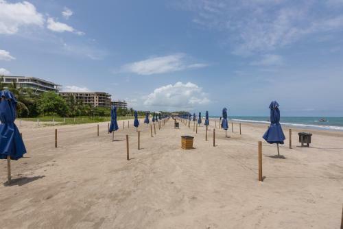 Lujoso Apartamento Con Salida Directa A La Playa Edificio Morros Eco