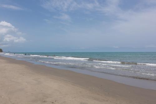 Lujoso Apartamento Con Salida Directa A La Playa Edificio Morros Eco