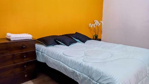 Mico Loco Casa Hostal