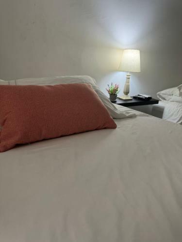 Apartamento C�ntrico Y Confortable Apto Casa Do�a Yola 4