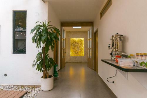 Apartamento Cartagena Suites De Manga