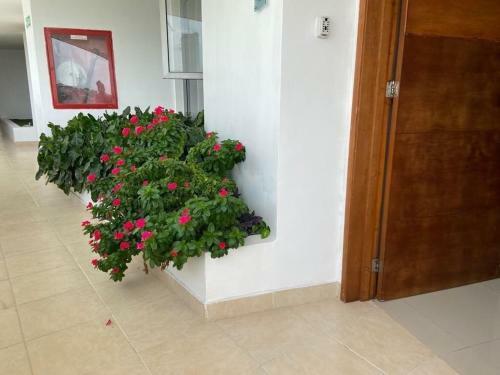 Apartamento Frente Al Mar Home Office 7b