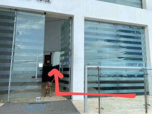 Apartamento Frente Al Mar Home Office 7b