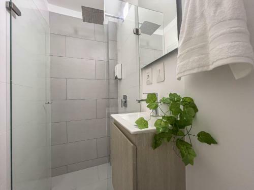 Apartamento Bocagrande Loft - Livin Colombia