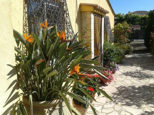 Bed & Breakfast Aux Amandiers