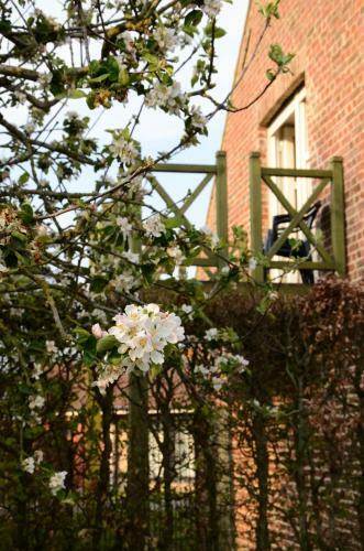 Hostal De Groote Waere