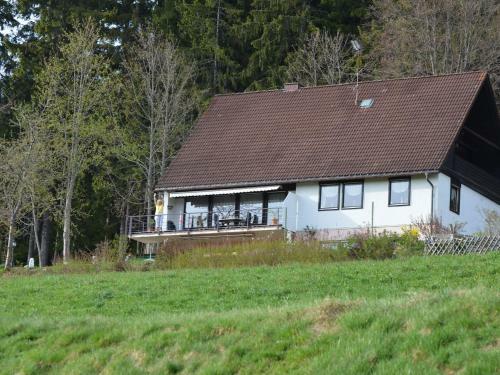 Scenic Apartment In Lenzkirch With Bikes, Balcony