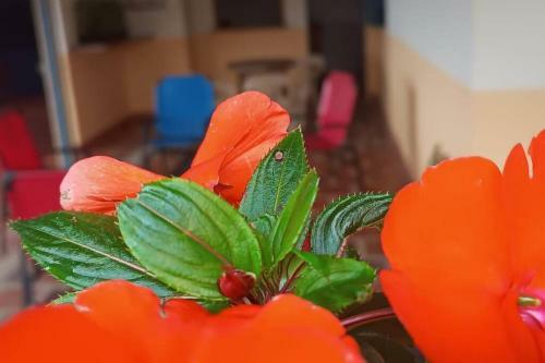 Rionegro Casa Campestre El Escampadero
