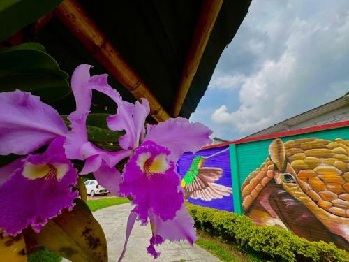 Agroturismo Ecohotel Los Guaduales