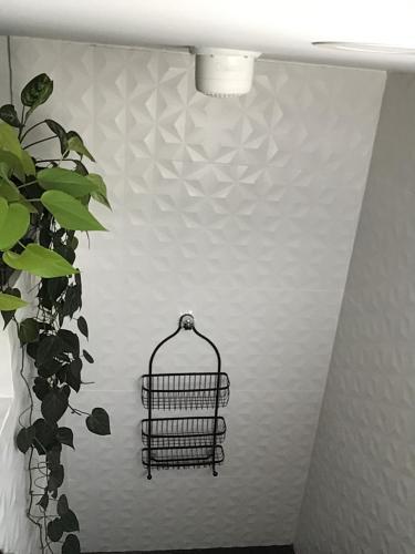 Astromelio House Coliving Expats 201