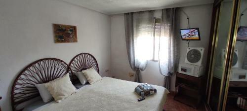Tourist Room