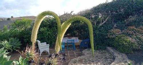 Agroturismo Casa Jard�n De Tiagua