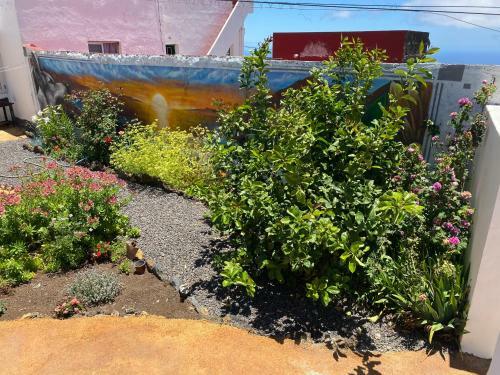 Vivienda Vacacional Casa Pancho