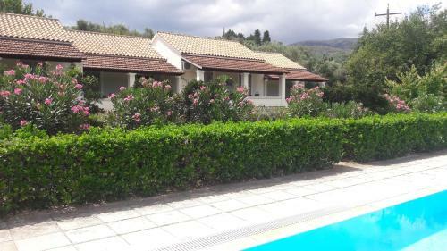 Lemontree Apartments