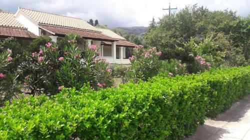 Lemontree Apartments