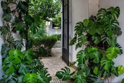 Apartamento En Un Dormitorio En Plaza Alfaro
