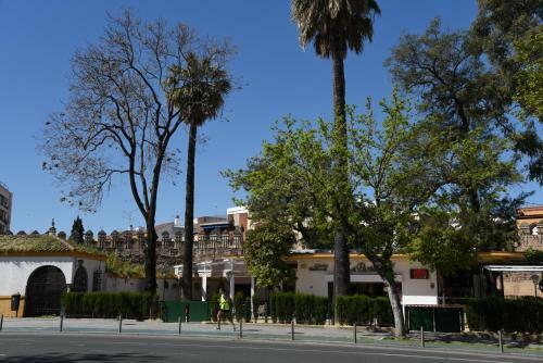 Apartamento First Floor Near Macarena Church