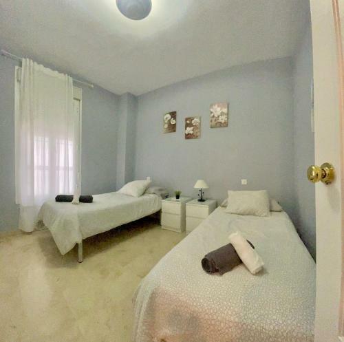 Apartamento Entero En Los Jardines De Murillo
