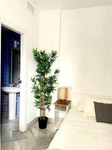 Apartamento San Julian Centro 6 Pax Click&host
