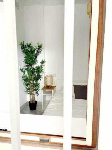 Apartamento San Julian Centro 6 Pax Click&host