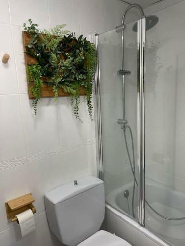 Apartamento Oasis Plus