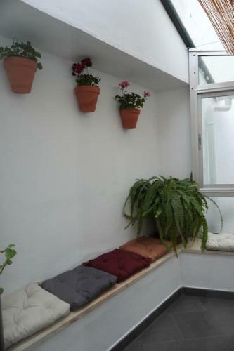 Casa Marcur Santa Cruz