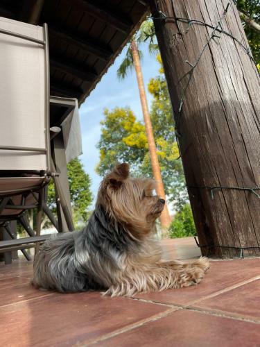 Villa Mar�a Lagos Del Serrano