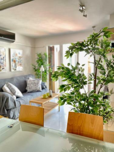 Apartamento Centrico Catedral