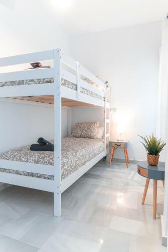 Downtown Apartment (3 Bedrooms, 2 Bathrooms, Wifi)