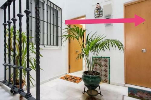 Sweet Catalina-centric Apartment 4 Guests