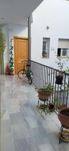 Apartamento Downtown Plaza Del Museo