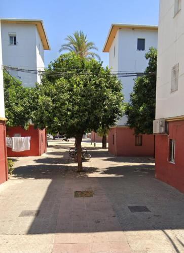 Apartamento Triana