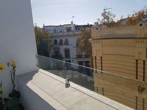Apartamento Atico C/ Adriano_catedral.