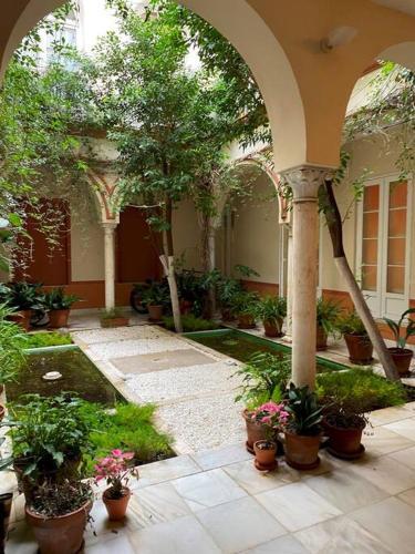 Apartamento Carlos Ca�al Deluxe By Valcambre
