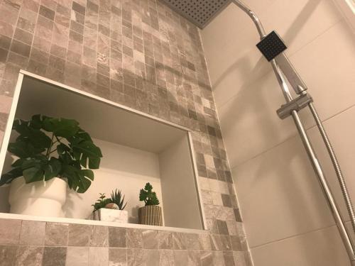 Apartamento En Triana: Junto San Jacinto Parking Opcional