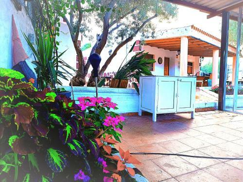 Agroturismo Los Naranjos Paradise
