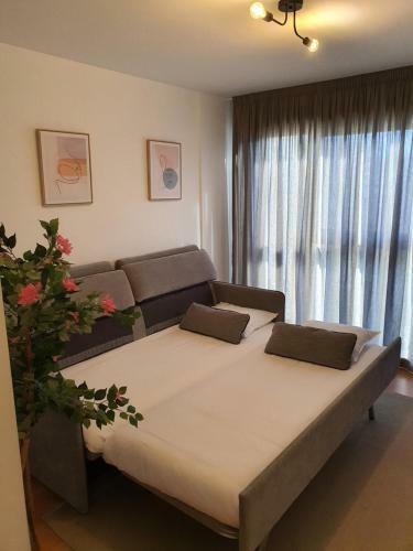 Apartamentos Ciudad Santiago